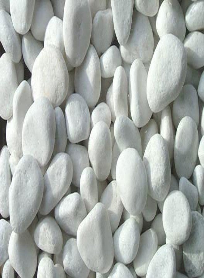 Maalavya 30-60 MM White Unpolished Marble Pebbles for Garden Decor 7 KG - Image 2